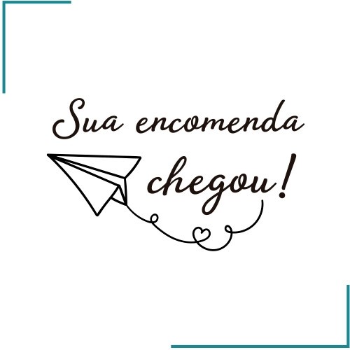 SUA ENCOMENDA CHEGOU